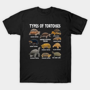 Tortoise Owner Tortoise Lover Reptile T-Shirt